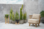 The Charcoal Tall planter - Black Natural - L