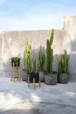 The Charcoal Tall planter - Black Natural - L