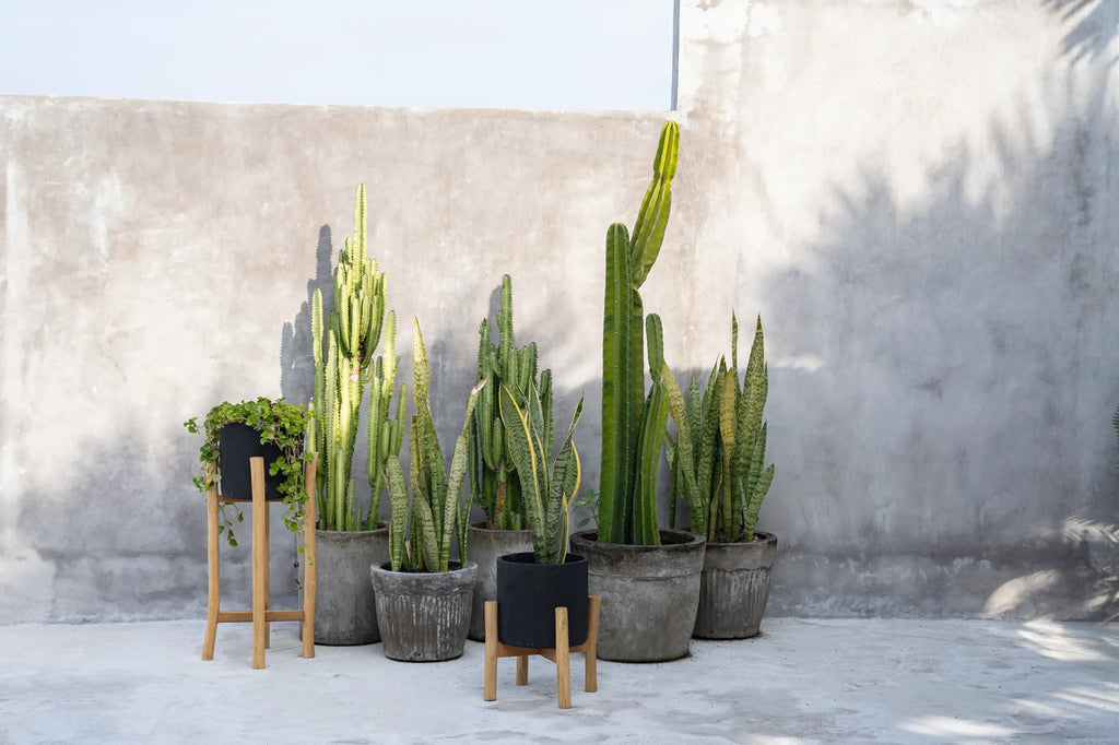 The Charcoal Tall planter - Black Natural - L